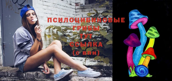 спайс Аркадак