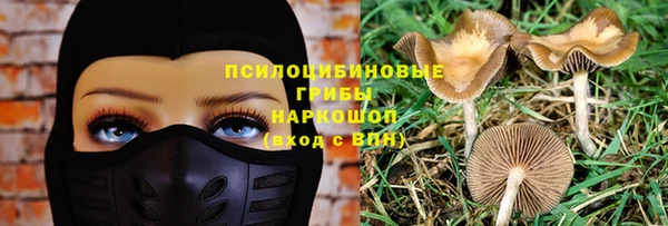 метадон Арсеньев
