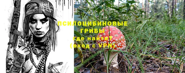 apvp Армянск