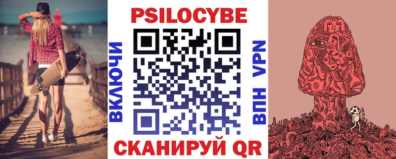 дарнет шоп  Чебаркуль  Псилоцибиновые грибы Psilocybine cubensis 